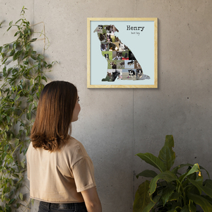 Collage Photo Border Collie - Créez un Souvenir Canin Unique Collage Photo Border Collie - Créez un Souvenir Canin Unique