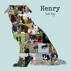 Collage Photo Border Collie - Créez un Souvenir Canin Unique Collage Photo Border Collie - Créez un Souvenir Canin Unique