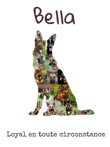 Collage Photo Silhouette Chien - Personnalisez avec Vos Photos et Texte Collage Photo Silhouette Chien - Personnalisez avec Vos Photos et Texte