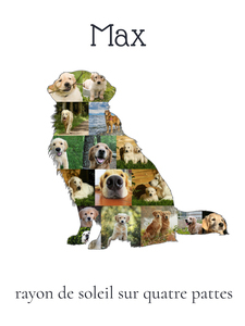 Collage Personnalisée Golden Retriever : Créez un Souvenir Inoubliable en Photos Collage Personnalisée Golden Retriever : Créez un Souvenir Inoubliable en Photos
