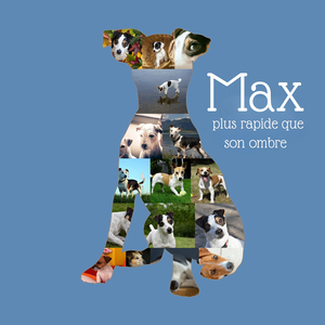 Collage Personnalisée Jack Russell: Créez un Souvenir Unique de votre Chien Collage Personnalisée Jack Russell: Créez un Souvenir Unique de votre Chien