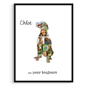Collage Photo Personnalisée Vizsla - Souvenir Unique pour Amoureux des Chiens Collage Photo Personnalisée Vizsla - Souvenir Unique pour Amoureux des Chiens