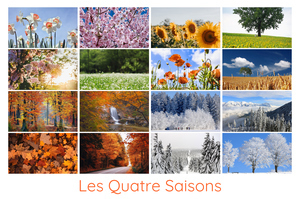 Créez votre collage photo Nature, paysages & animaux – 4 saisons, tirage premium Créez votre collage photo Nature, paysages & animaux – 4 saisons, tirage premium