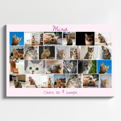 Collage foto del tuo gatto: crea ora con vari modelli e testo personalizzato