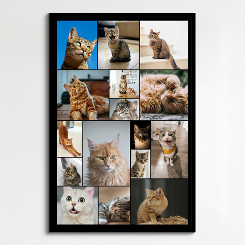Créez un collage photo de chat en ligne – modèles variés, texte personnalisé