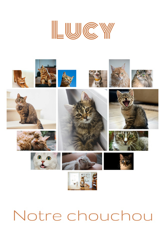 Collage cœur chat avec photos – personnalisez avec nom ou texte