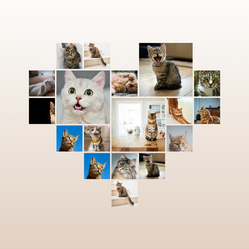 Herz-Collage mit Katzenfotos – jetzt mit deinem Namen oder Unser Liebling gestalten