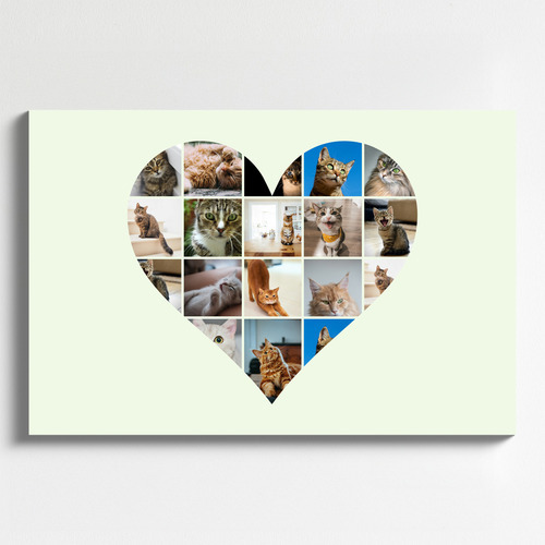 Herz-Collage mit Katzenfotos – jetzt mit deinem Namen oder Unser Liebling gestalten