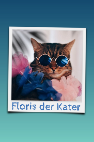 Katzen-Polaroid-Collage erstellen – mit Namen & Text deiner Katze personalisieren