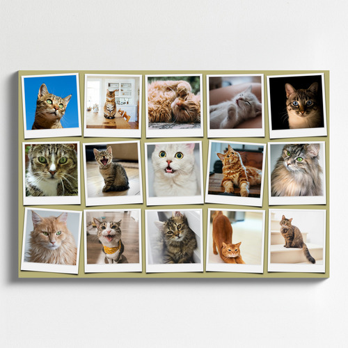 Katzen-Polaroid-Collage erstellen – mit Namen & Text deiner Katze personalisieren