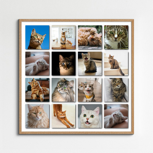 Katzen-Polaroid-Collage erstellen – mit Namen & Text deiner Katze personalisieren