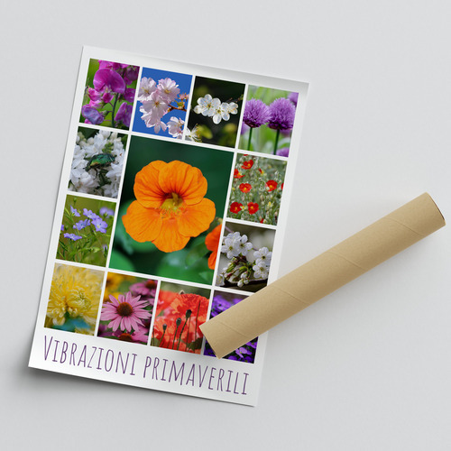 Crea il tuo collage foto fiori e piante – stampa premium: rose, tulipani, prati in fiore