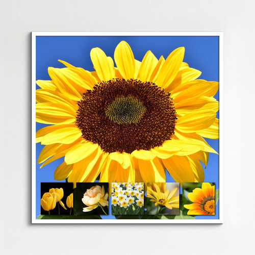 Blumen & Pflanzen Fotocollage – gestalte deinen Premiumdruck als Poster & Leinwand