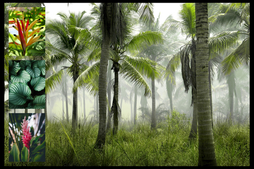 Naturfoto-Collage drucken – Tropen, Palmen, Blumen & Strand – Premiumdruck – Gestalte jetzt