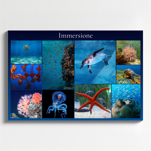 Collage foto subacquee: animali marini e immersioni – crea e stampa il tuo collage premium