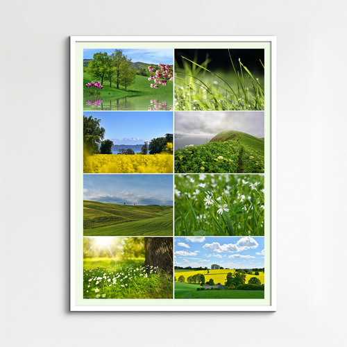 Jahreszeiten-Fotocollage jetzt erstellen – Natur, Landschaft & Tiere im Premiumdruck