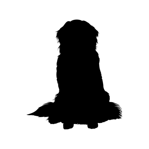 Silhouette del cane Bovaro del Bernese seduto