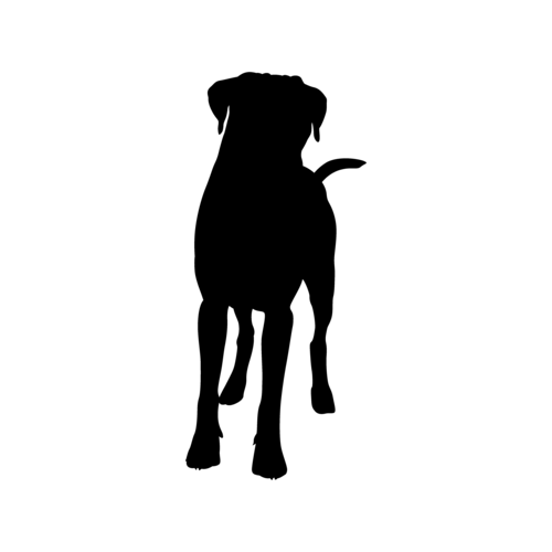 Silhouette del cane Boxer in piedi