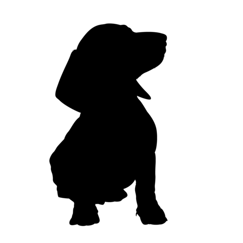 Silhouette del cane Bassotto seduto