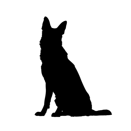 Silhouette del cane Pastore Tedesco seduto