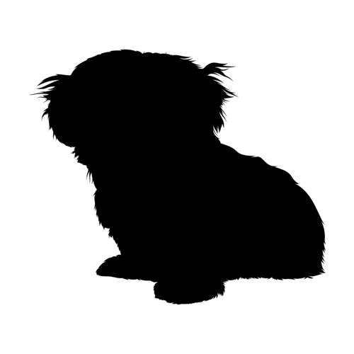 Silhouette del cane Shih Tzu seduto
